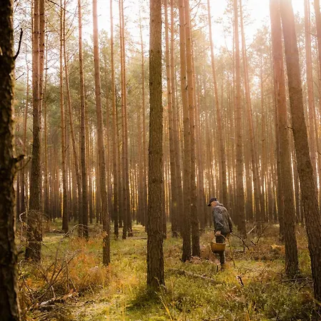Brzozowa - Dom Nad Jeziorem - Wellness & Ceragem 别墅 *