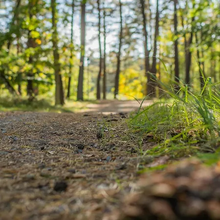 Brzozowa - Dom Nad Jeziorem - Wellness & Ceragem Kowalewo (Gniezno)