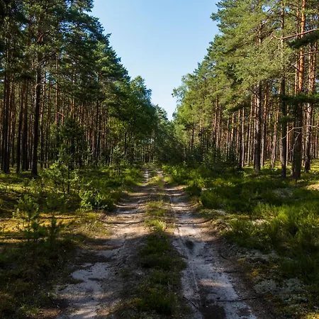 Brzozowa - Dom Nad Jeziorem - Wellness & Ceragem 别墅 Kowalewo (Gniezno)