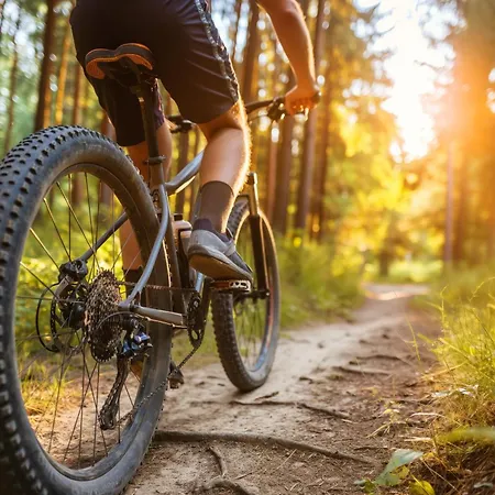 别墅 Brzozowa - Dom Nad Jeziorem - Wellness & Ceragem *