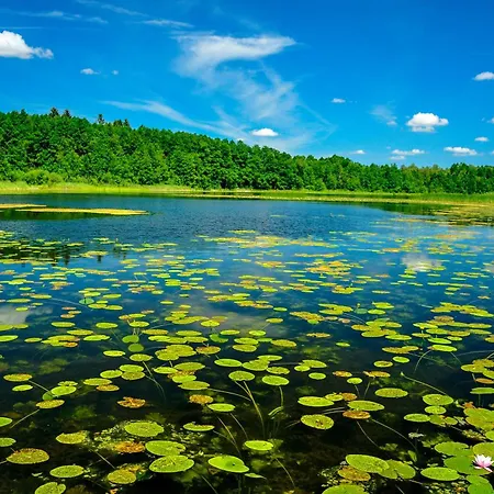 Brzozowa - Dom Nad Jeziorem - Wellness & Ceragem 别墅 *