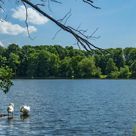 Brzozowa - Dom Nad Jeziorem - Wellness & Ceragem Kowalewo (Gniezno)