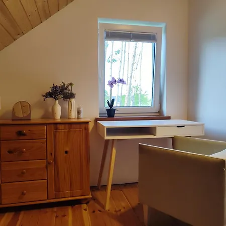 别墅 Brzozowa - Dom Nad Jeziorem - Wellness & Ceragem *