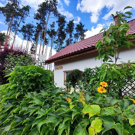 别墅 Brzozowa - Dom Nad Jeziorem - Wellness & Ceragem