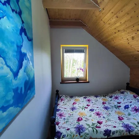 Brzozowa - Dom Nad Jeziorem - Wellness & Ceragem 别墅 *