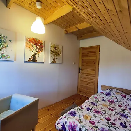 Brzozowa - Dom Nad Jeziorem - Wellness & Ceragem 别墅 *