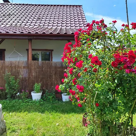 别墅 Brzozowa - Dom Nad Jeziorem - Wellness & Ceragem Kowalewo (Gniezno)