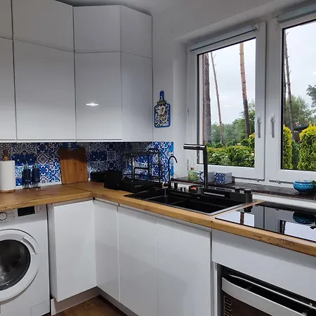 Brzozowa - Dom Nad Jeziorem - Wellness & Ceragem 别墅