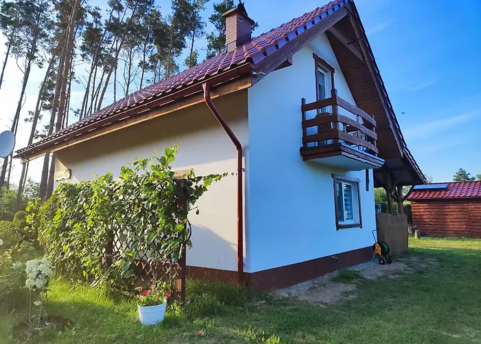 Brzozowa - Dom Nad Jeziorem - Wellness & Ceragem * Kowalewo (Gniezno)