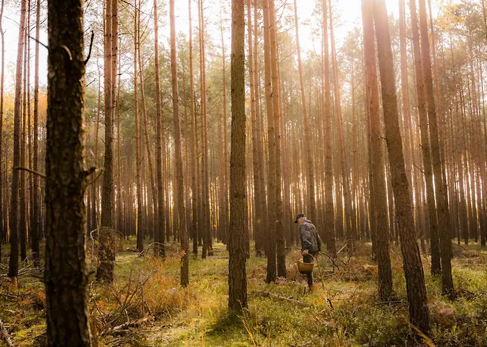 Brzozowa - Dom Nad Jeziorem - Wellness & Ceragem Villa *