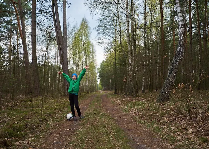 Villa Brzozowa - Dom Nad Jeziorem - Wellness & Ceragem Kowalewo (Gniezno)