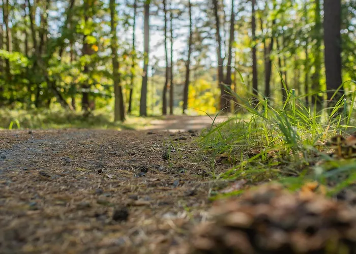 Brzozowa - Dom Nad Jeziorem - Wellness & Ceragem Kowalewo (Gniezno)