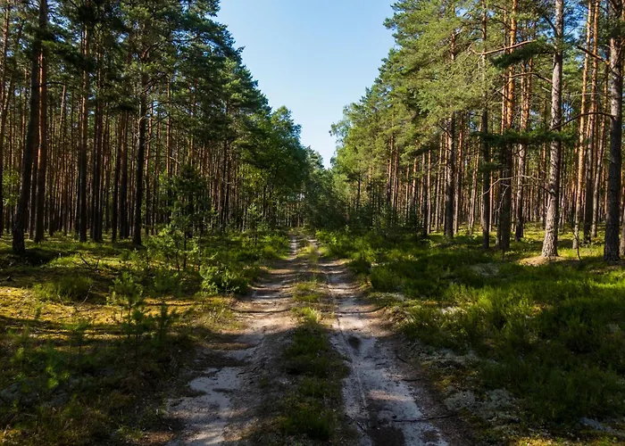 Brzozowa - Dom Nad Jeziorem - Wellness & Ceragem Villa Kowalewo (Gniezno)