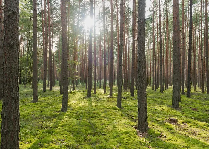 Brzozowa - Dom Nad Jeziorem - Wellness & Ceragem Kowalewo (Gniezno)