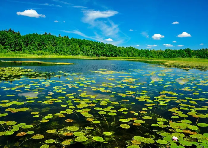 Brzozowa - Dom Nad Jeziorem - Wellness & Ceragem Villa *