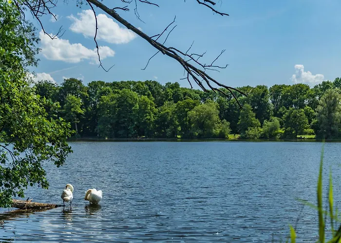 Brzozowa - Dom Nad Jeziorem - Wellness & Ceragem Kowalewo (Gniezno)