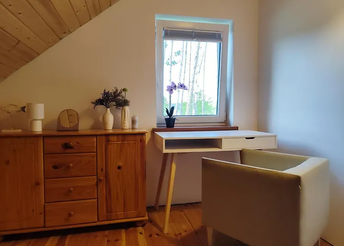 Villa Brzozowa - Dom Nad Jeziorem - Wellness & Ceragem *