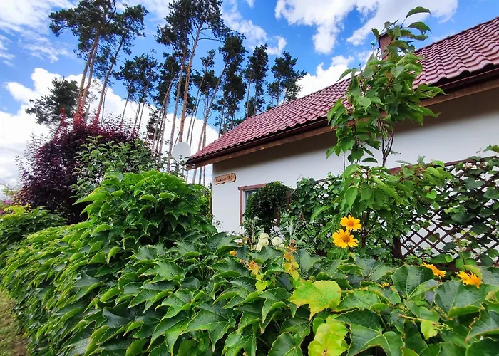 Villa Brzozowa - Dom Nad Jeziorem - Wellness & Ceragem