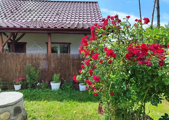 Villa Brzozowa - Dom Nad Jeziorem - Wellness & Ceragem Kowalewo (Gniezno)