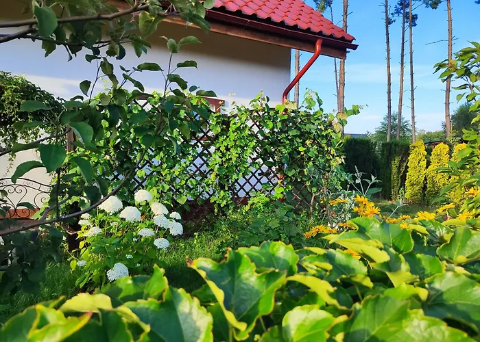 Brzozowa - Dom Nad Jeziorem - Wellness & Ceragem Kowalewo (Gniezno)